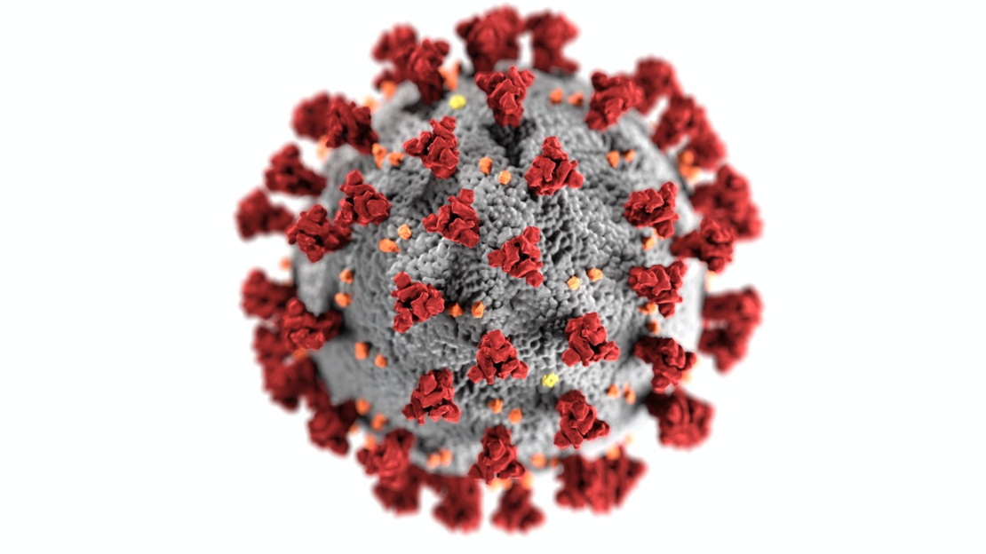 Frågor och svar om provtagning coronavirus kommunsnatällda