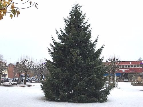 Gran på torget julen 2017