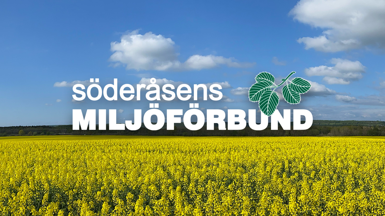 Söderåsens mIljöförbund. Rapsfält och logotyp