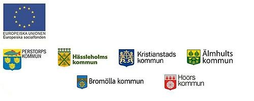 Fyll i beskrivning av bilden
