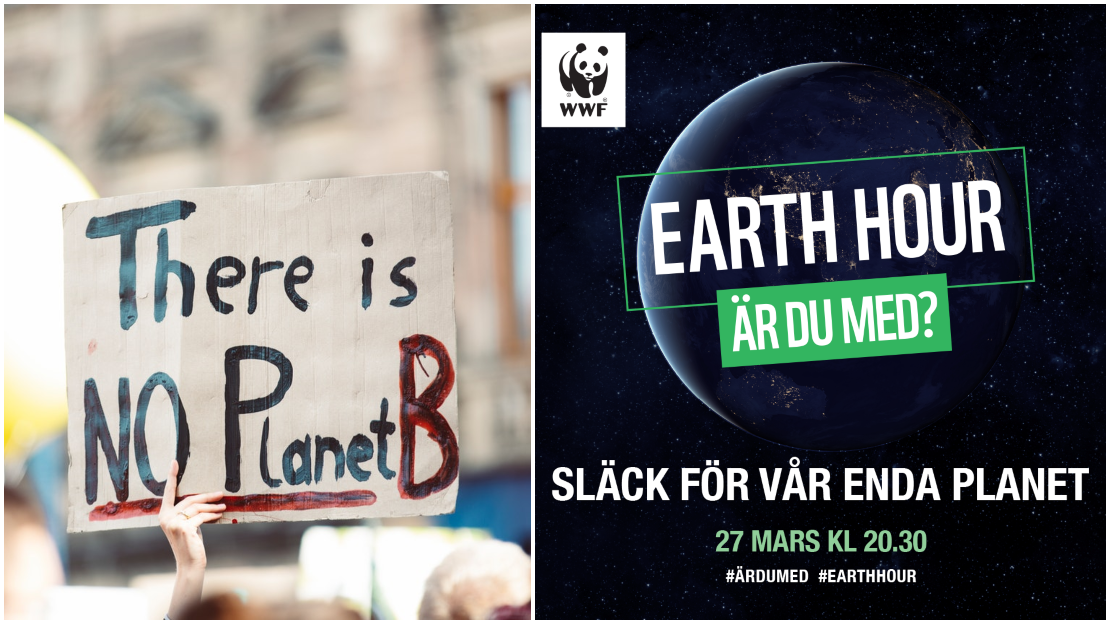 Earth Hour 2021