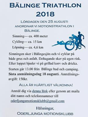 Fyll i beskrivning av bilden