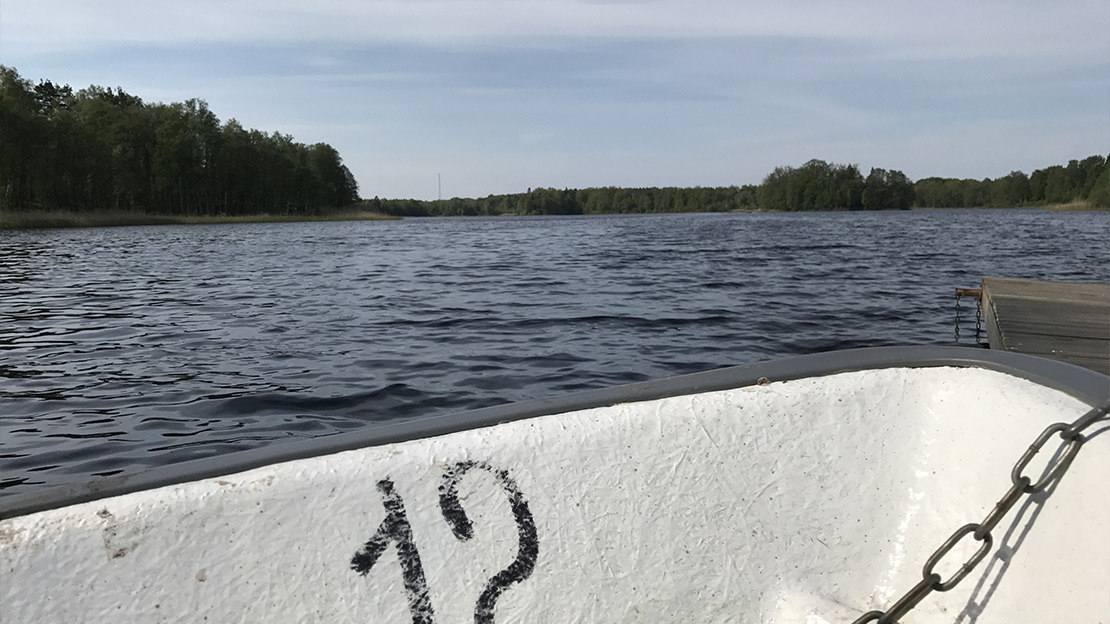 Fyll i beskrivning av bilden