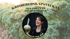 Krisberedskapsveckan Perstorp 2022