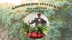 Krisberedskapsveckan 2022. Föredrag på biblioteket