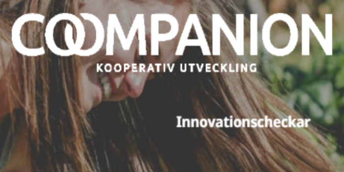 Skärmklipp från Coompanions webbplats