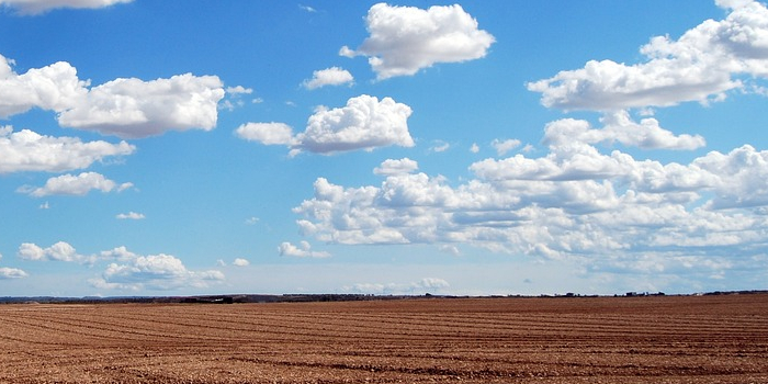 Moln på blå himmel över åkermark