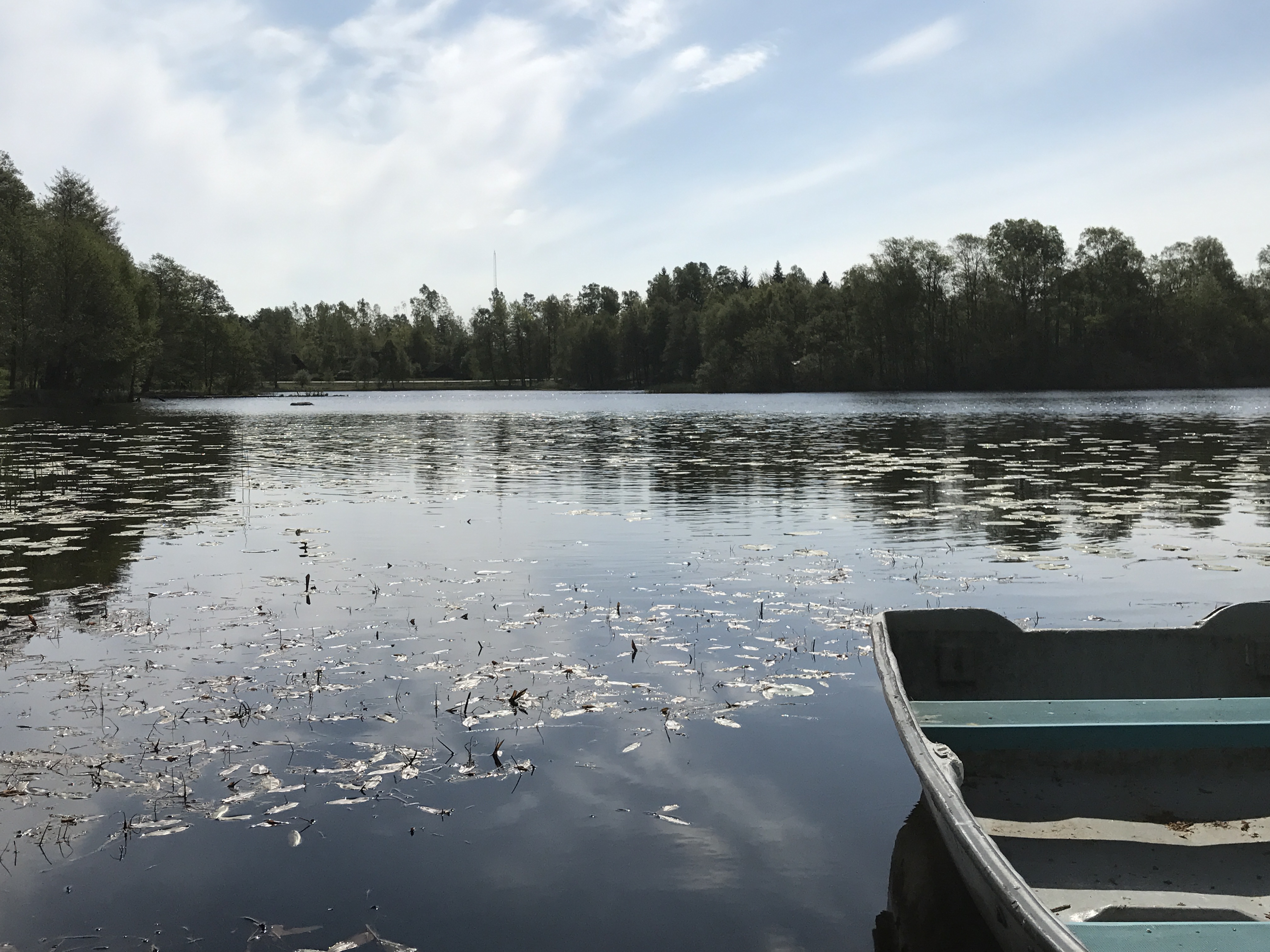 Fyll i beskrivning av bilden