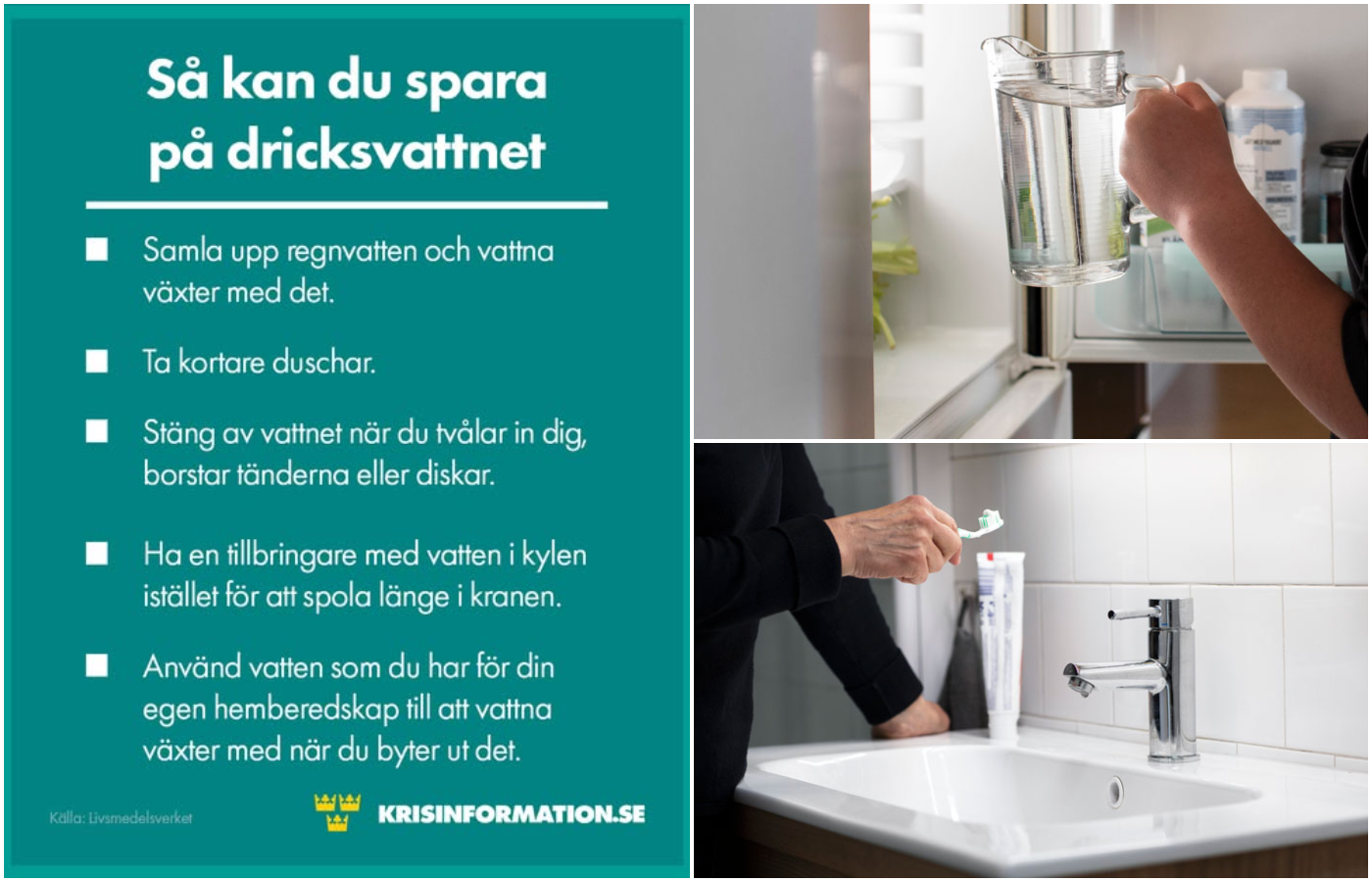 Bildcollage med tre bilder där den första  listar tips i vit text på grön bakgrund på hur vatten kan sparas. De andra två bilderna visar en tillbringare med vatten som sätts in i ett kylskåp och en person som håller i en tandborste.