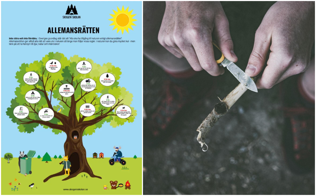 Bildcollage med två bilder där den första visar affisch från skogen i skolan om Allemansrätten. Den andra bilden visar en persona som täljer en pinne med kniv.