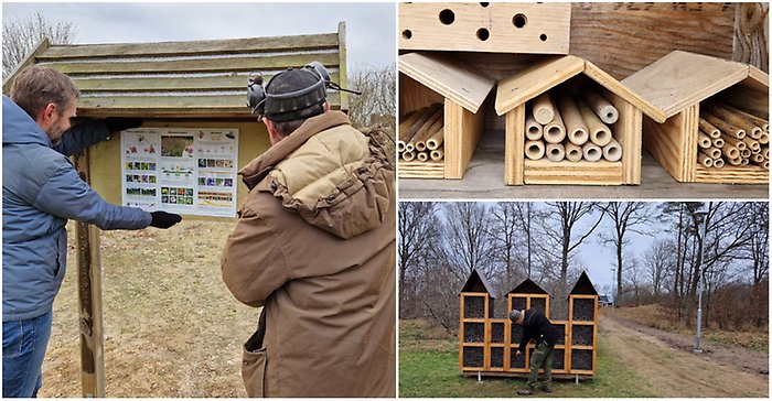 Projekt Vilda Pollinatörer i fokus. Projektet inneghåller infotavlka, bislott och ängsblommor.