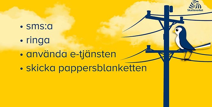 Tips från Skatteverket hur du deklarerar