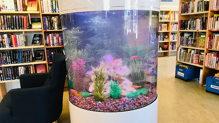 Nytt akvarium på biblioteket
