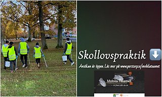 Bildcollage skollovspraktlk