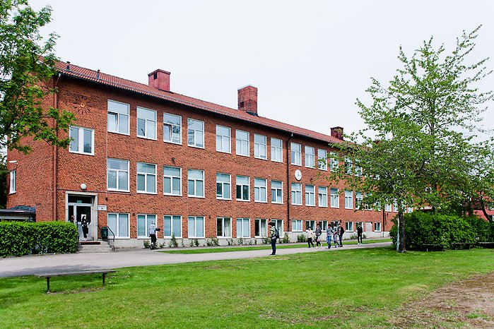 Fyll i beskrivning av bilden