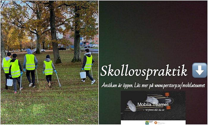 Bildcollage skollovspraktlk
