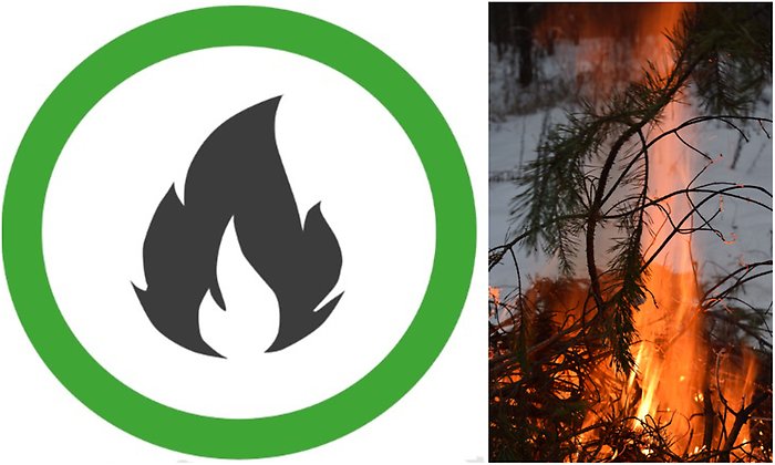 Bildcollage med grön cirkel runt illustrerad eld