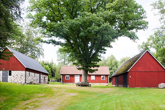 Artur Lundkvist födelsehem i Hagstad