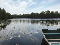Fyll i beskrivning av bilden