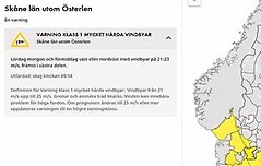 Fyll i beskrivning av bilden