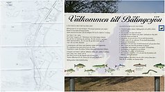 Situationsplan och informationstavla över vilka fiskar som finns i Bälingesjön