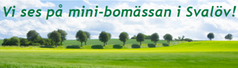 Fyll i beskrivning av bilden
