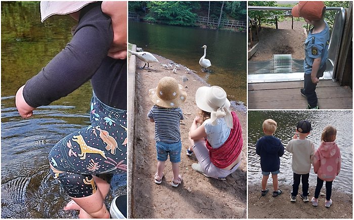 Bildcollage från utflykt med barn och familjer. Familjens hus åkte till Skäralid